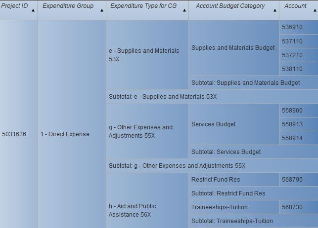 C&G Expenditures Account Level Same