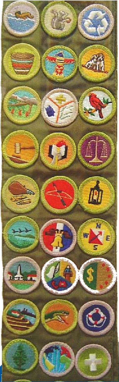 Merit Badges Some merit badges relate to personal development and adult living Others