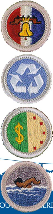 Eagle Required Merit Badges Eagle Required badges are identified as cloth badges with a silver