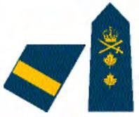 COLONEL (COL) The rank of Colonel is identified by four thick gold braids. GENERAL OFFICERS Figure 14 Colonel Rank www.forces.gc.ca/site/community/insignia/aira_e.