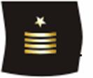 MIDN holding enlisted billets shall wear a badge similar to Navy enlisted insignia.