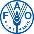 SCIENCE AND MANAGEMENT IN FAO Ask FAO FORUM Best