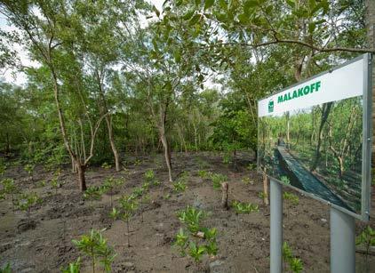forests to the local communities, we expanded our Mangrove Planting Programme to revive the eroding eco