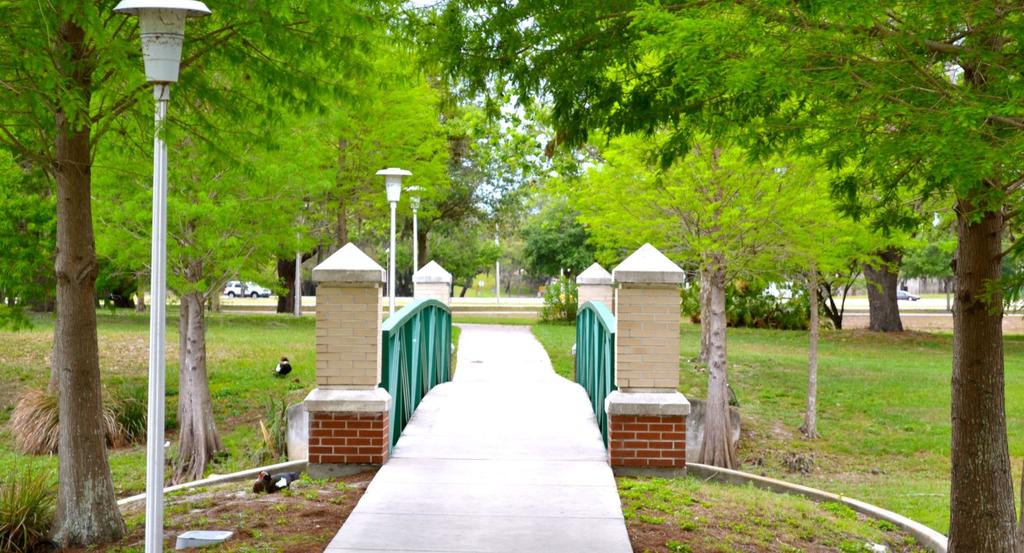 USF Tampa Campus,