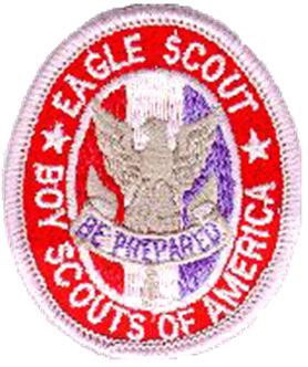 THE LEADERSHIP SERVICE PROJECT Write-up should reflect the work of a potential Eagle Scout. Mediocrity is not acceptable!