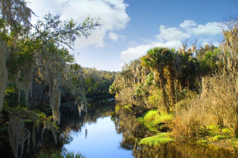 Highlights from Past 12 Months Alafia Water Use Permit Renewed for the