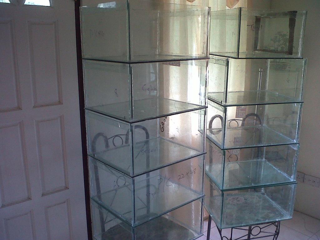 10 Glass boxes Jan 2012 Purchase 10 more hives from Glen, to setup