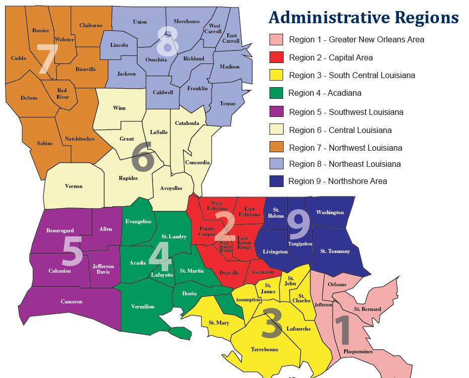 OVERVIEW General The Louisiana Department of Health and Hospitals (DHH) is the lead agency for ESF-8 Health & Medical Services in the State of Louisiana.
