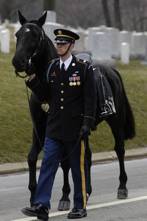 The single riderless horse that follows the caisson with boots reversed in the stirrups is called the "caparisoned horse" in reference to its ornamental coverings, which have a detailed protocol all
