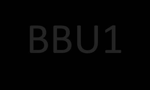BBU s (Building Block Units) are considered a limited partnership with CBG, and are private participations offered, owned and traded, or exchanged privately.