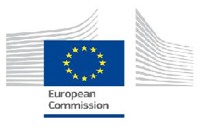 initial eight partnerships under the Joint Africa-EU Strategy