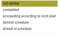 Section Work packages This section requires reporting on implementation of each work package within the reporting period.