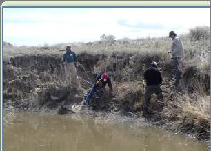 Case Study #1 Trained Volunteer Leaders Allow for Turn-key Agency Work Wildlands Restoration Volunteers (WRV) Located in Boulder, WRV organizes about 40-50 projects per year, completing a wide