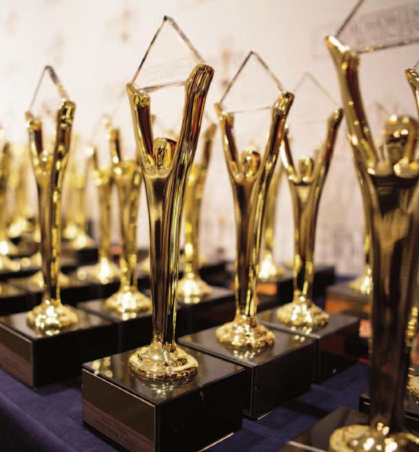 How the Stevie Award Winners Will Be Determined Judging of entries will be conducted in two phases: preliminary and final. Preliminary judging will be conducted in August-September.