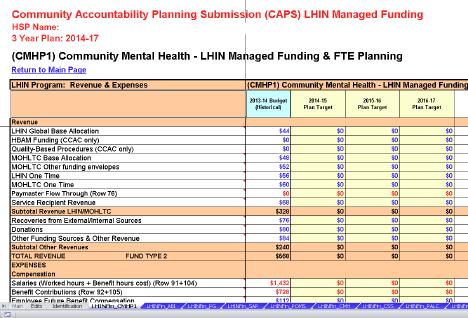 Completing the LHIN Managed Funding & FTE Planning form Below you will see a screen shot of the LHIN-Managed Funding &