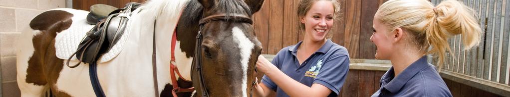 Equine Diploma in Land based studies (Horse Care) Awarding body NPTC City & Guilds Level 1 Tuesdays: 9.00am 2.