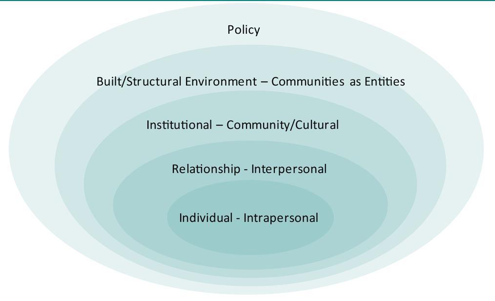 Social-Ecological Model Bronfenbrenner (1979), McLeroy,