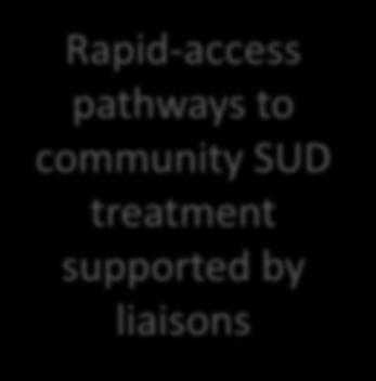 consult service: physicians, SW, peer recovery mentors Rapid-access