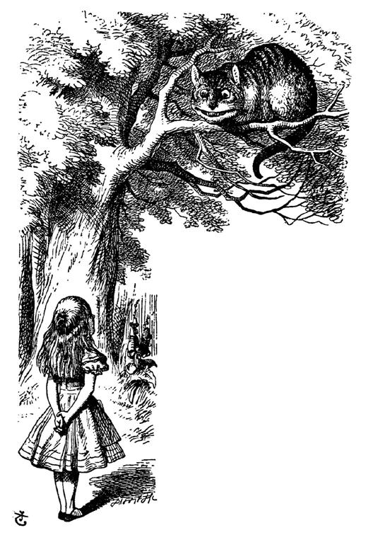 Alice s choice. Alice: Would you tell me, please, which way I ought to go from here? The Cheshire Cat: That depends a good deal on where you want to get to. Alice: I don't much care where.