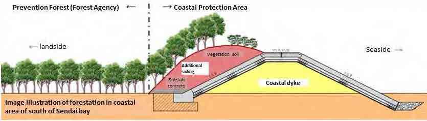 In view of more reliable tsunami-resistant functions of coastal dykes and landscape, forestation on the landside of the coastal dykes is expected to be significant.