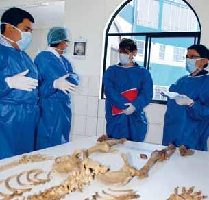 The forensic services focus on : providing support for ICRC field operations on all matters related to human remains and forensic sciences ; providing training and advice on best forensic