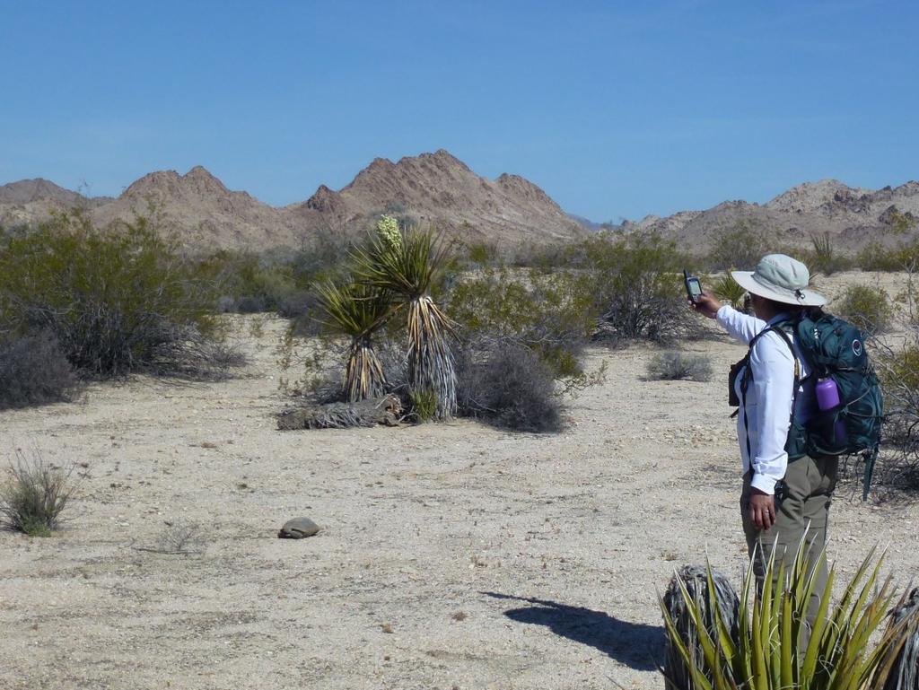 Land Management Every year, Desert Tortoise Preserve Committee staff and volunteers visit the