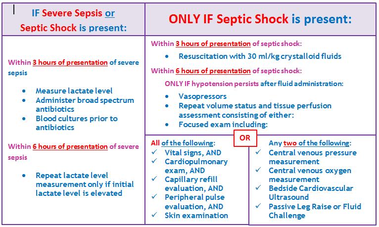 CMS Sepsis Bundle Guidelines summarized 19 These five require Physician/APN/PA documentation