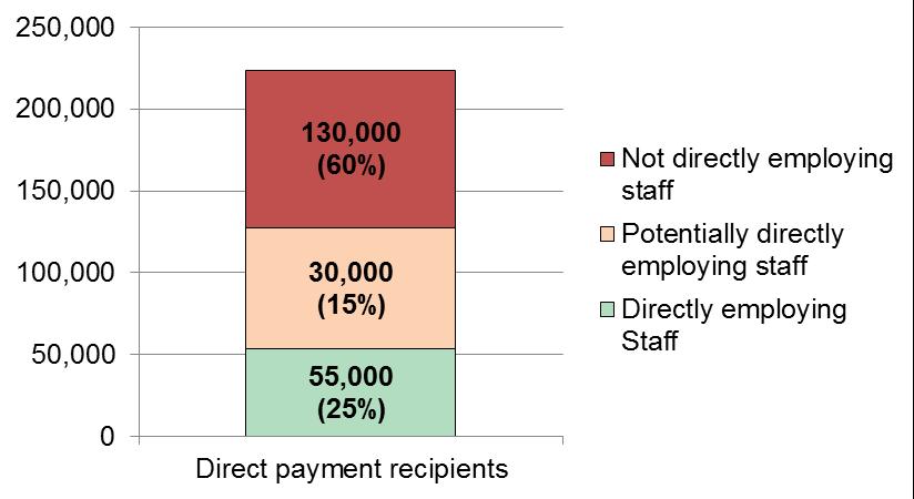 Individual Employers 04 17 Despite the additional data collected this year, there is still a lot of uncertainty regarding the proportion of direct payment recipients that were employers in 2013.
