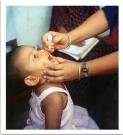 acellular pertussis (DTP/DTaP) 3 polio (IPV) 1 measles, mumps, rubella (MMR) 3 H influenza type B (Hib) 3 hepatitis B (Hep B) 1