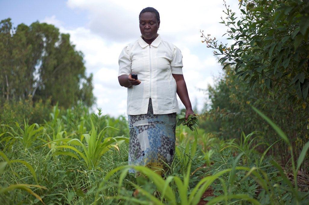 2013 Jacinta Muya, insured farmer in Embu province, Kenya IFC Access to Finance Sub-Saharan Africa Access to finance is key to inclusive economic growth in Sub-Saharan Africa.