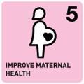 5: Improve maternal