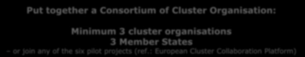ESCPs - European Strategic Cluster Partnerships Go International: Call Spring 2014 Put together a Consortium of Cluster