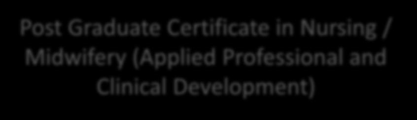 Certificate in Nursing /