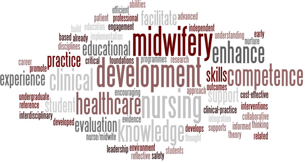 Post Graduate Certificate in Nursing/Midwifery Programme Aims