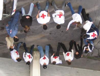 Organisational development Overall Goal: A well functioning and adequately resourced Lebanese Red Cross Society with sufficient governance and management capacity to ensure focused and responsive