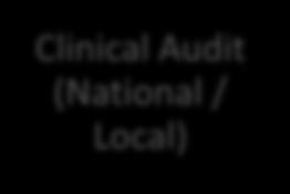 Metrics Clinical Audit