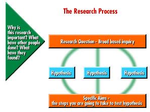 The Research Idea A strong research idea should pass the so what test. What is the benefit of answering your question?