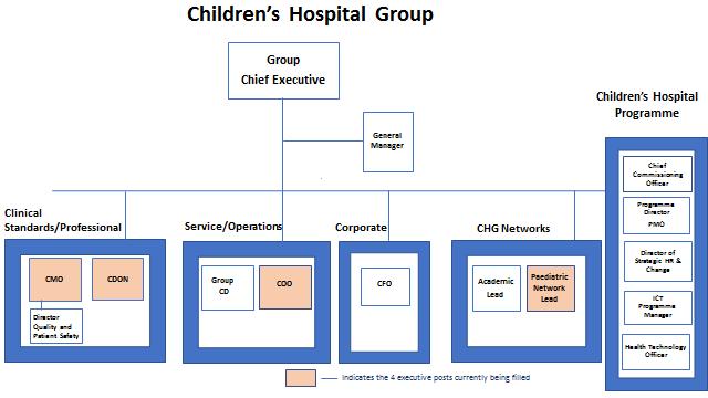 Reprting Arrangements Key Wrking Relatinships The CDON will reprt directly t the Grup Chief Executive f the Children s Hspital Grup.