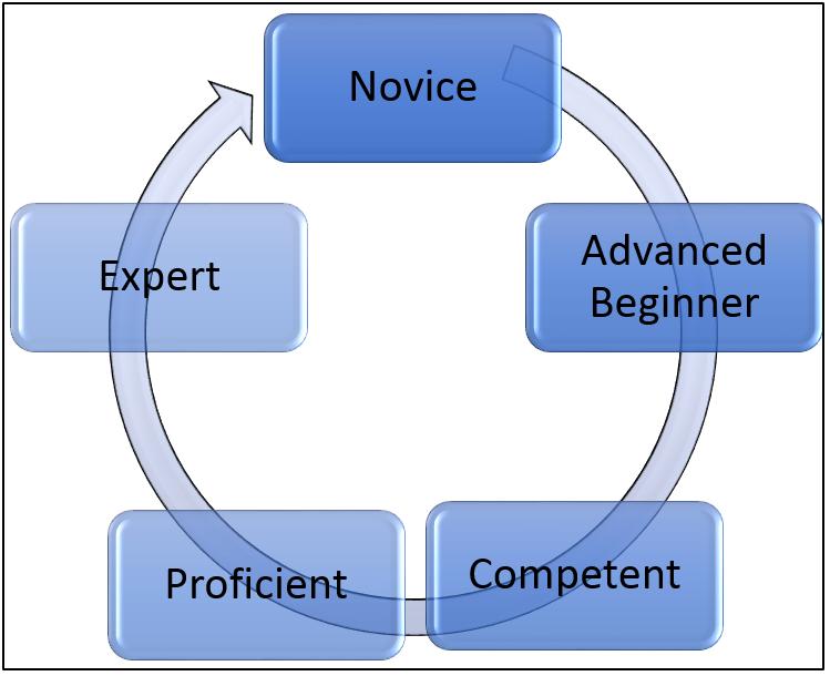 using this theory of learner development. An individual starts in these phases of learning with each new role they take on. 10 Figure 1.