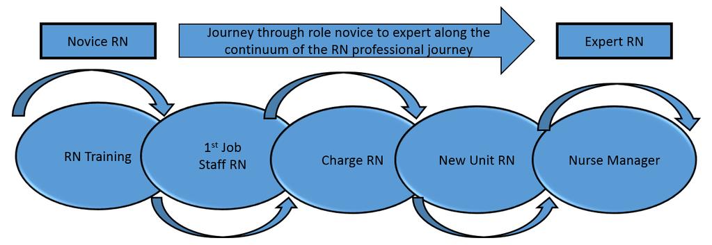 is an example of each role a nurse may have in their career and how the links connect.