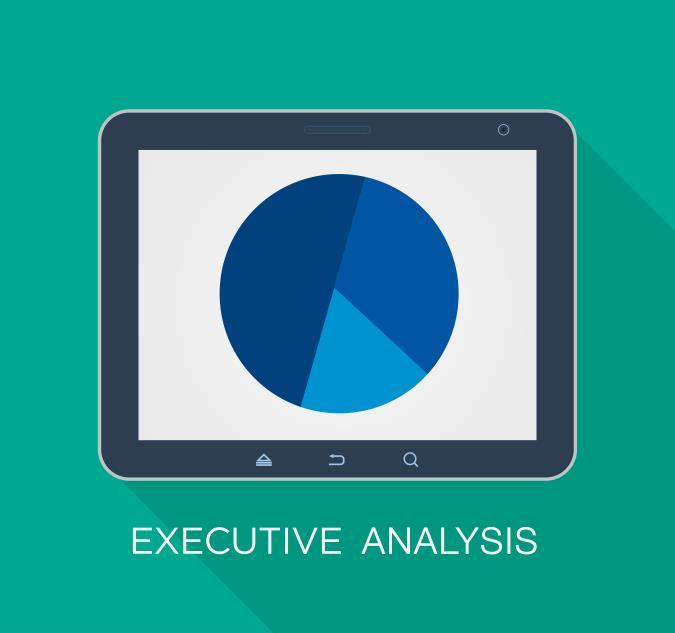Executive Analysis In-depth philanthropic and