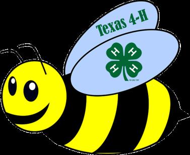 2016 TEXAS 4-H BEEKEEPING ESSAY CONTEST RULES AND GUIDELINES TEXAS 4-H YOUTH DEVELOPMENT PROGRAM Deadline: January 8, 2016 Submit Electronically via Formsite: https://fs4.formsite.
