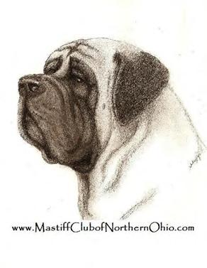 M C ON O M e ss eng er Ap ril 20 11 Page 5 Mastiff Club of Northern Ohio will host a Mastiff Fun Match & Picnic New Castle, PA For all mastiff lovers!