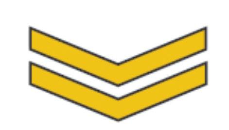 base of the shoulder badges.