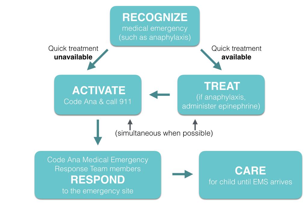 The Basics: Know the Basic Algorithm and Medical Device Locations Before we create your school s Code Ana Medical Emergency Response Plan, let s review the basic algorithm for responding to a medical