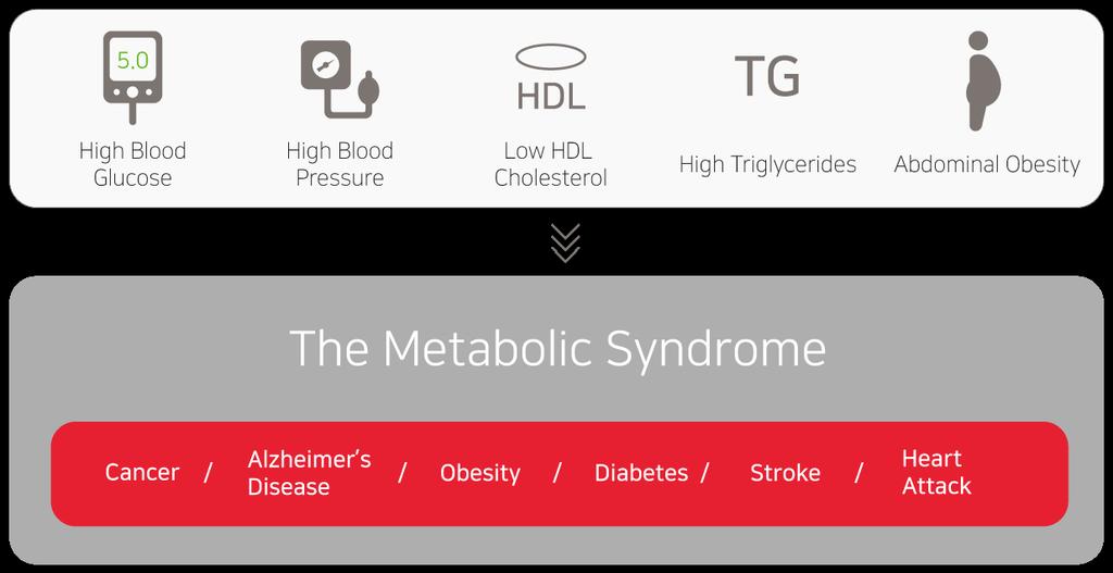 Motivation One of the Most Serious Problems We are Facing Today: The Metabolic syndrome Over the last 40 years, the world has seen a new trend emerging: an explosion of chronic diseases categorically