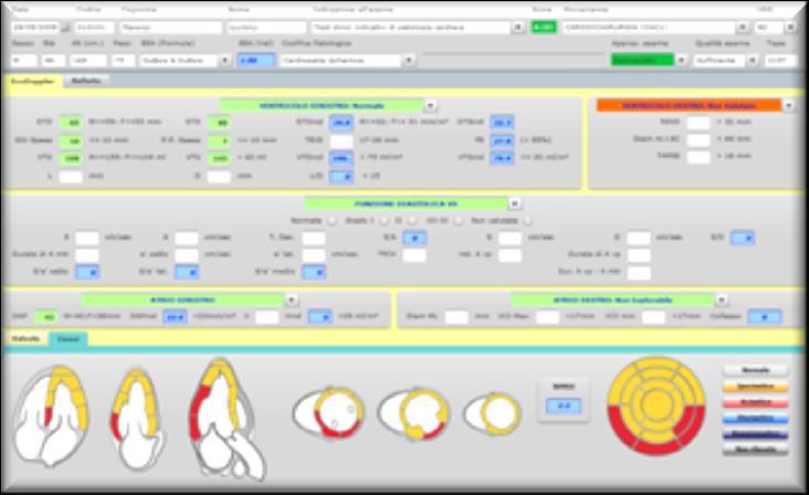 The innovative features of flexibility and integration with diagnostic equipment of evisit Cardio allowed the creation of several specialized reporting forms that meet the different needs of each