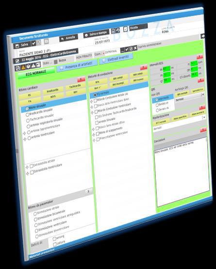 environment with Bulleye, Longitudinal and Transversal views extends and completes the reporting views.