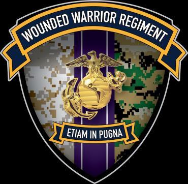 nonmedical care of combat and non-combat Wounded, Ill, and Injured (WII) Marines,