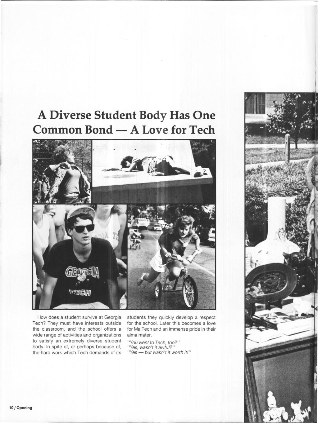 A Diverse Student Body Has One Common Bond A Love for Tech How does a student survive at Georgia Tech?